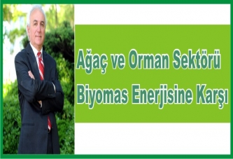 19 firma Biyomas Enerji Santralı kurmak İstiyor