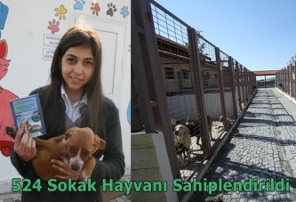 524 sokak hayvanı sahiplendirildi