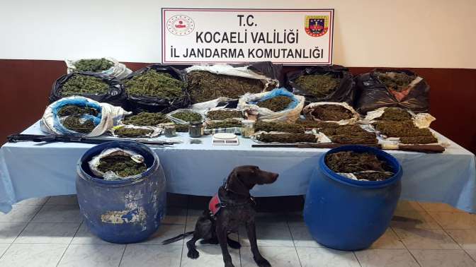 61 kilogram esrar yakalandı, 2 kişi tutuklandı