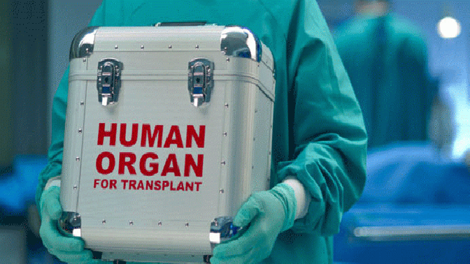 9 bin böbrek hastası organ bulunamazsa hayatını kaybedecek