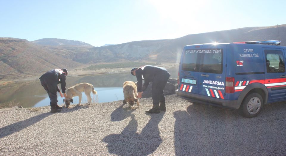 Aksaray Jandarma'dan can dostlara yardım