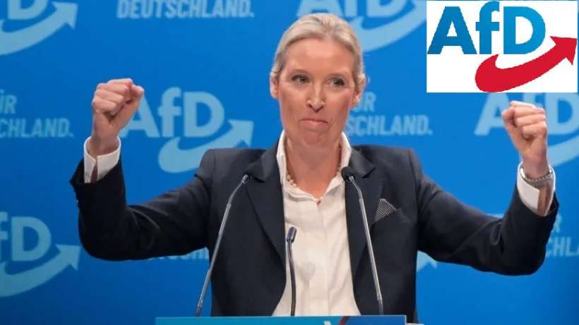 Almanya İçin Alternatif Partisini, (Afd) Resmen Aşırı Sağ Parti