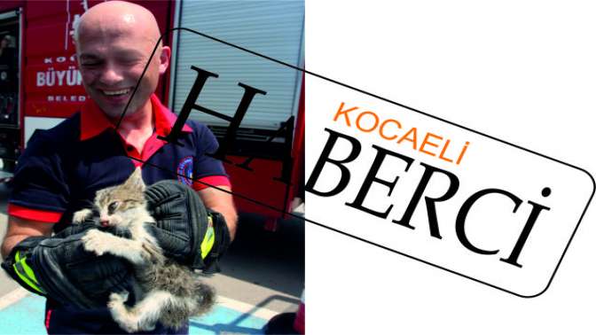 Araç motoruna giren kedi kurtarıldı