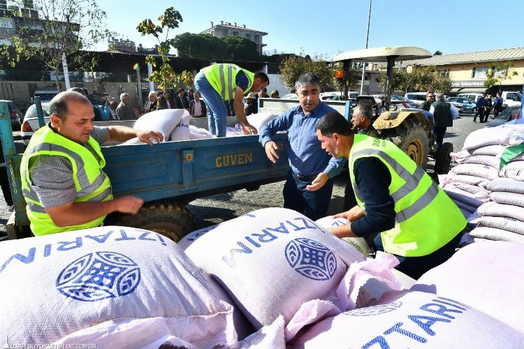 Ata tohumu karakılçık buğdayı Ege'de yeniden canlanıyor