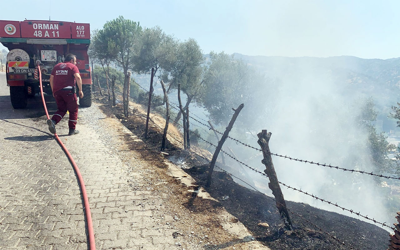 Aydın Koçarlı’da 20 dönüm arazi yandı