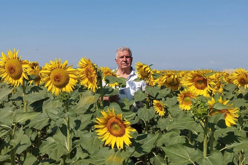 Ayçiçeği ve pirinç ithalatına Edirne'den tepki