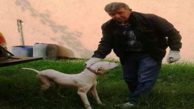 Bakılması Yasak Köpeklere El Konuldu