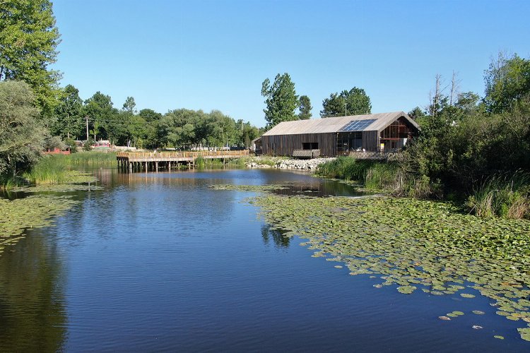 Bayramda Sakaryada turistik noktalar ziyaretçi akınına uğradı