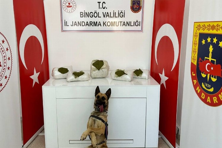 Bingöl’de toprağa gömülü toz esrar bulundu