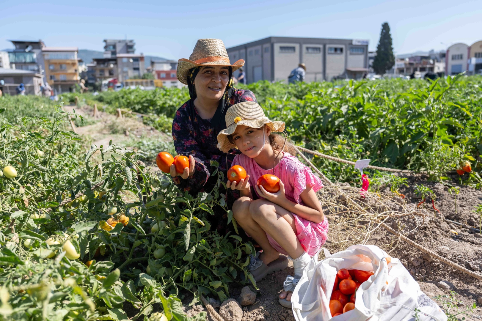 Bu pazarda enflasyon yok! Hasat başladı