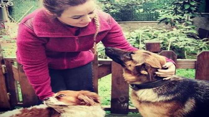 Burcu Çetinkaya’dan Sokak hayvanları projesi