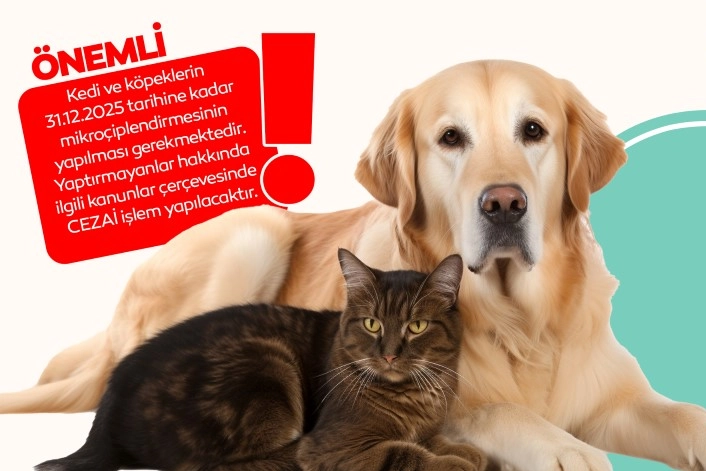 Bursa İnegöl'de evde kedi-köpek besleyenlere mikroçip uyarısı