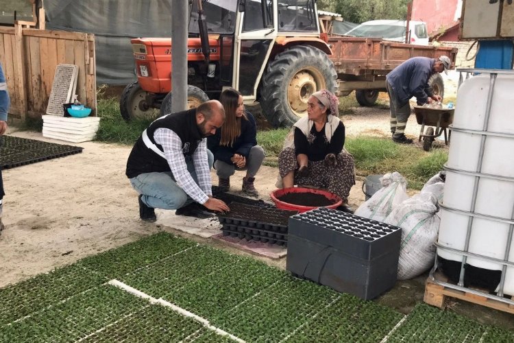 Çiftçi kadınlara sözleşmeli üreticilik modeli ile büyük kazanç