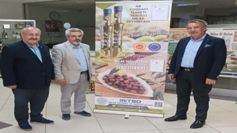 Coğrafi işaretli Milas zeytini Hasat Şenliğinde taçlandı