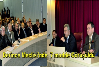 Derince Meclisi’nde 7 madde görüşüldü