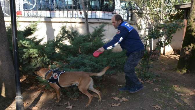 Dilovasında Polis Uygulaması, Durum berkemel