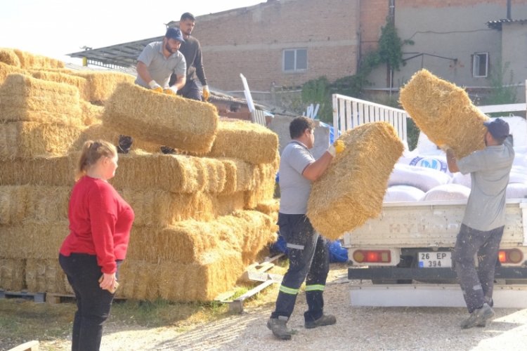 Eskişehir'de çiftçiye yulaf ve arpa balyası desteği