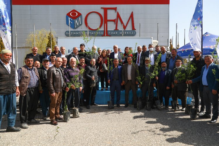 Gaziantep'te hastalığa karşı yeşil altın fıstığa besin desteği!