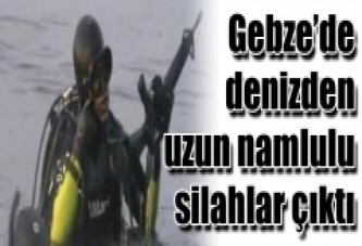 Gebze'de denizden silahlar çıktı