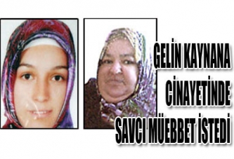 Gelin_kaynana cinayetinde savcı müebbet istedi