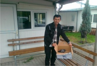 Hayan Sevgisi ,Güvercini Kurtardı