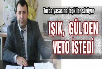 IŞIK, GÜL'DEN VETO İSTEDİ