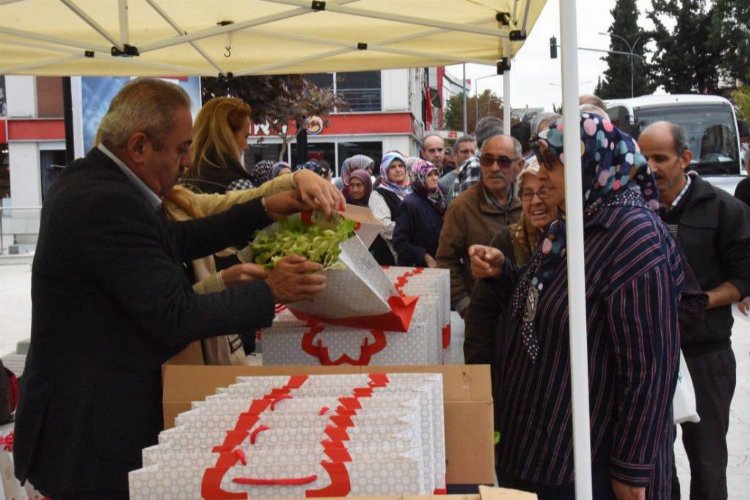 İstanbul'un marul fideleri Bilecik'e dağıtıldı