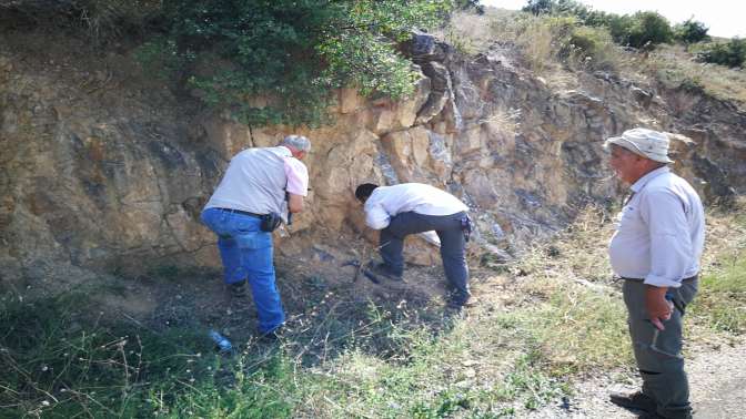 İznikte denizlerde yaşayan mikroorganizma fosili bulundu