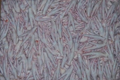 Kanatlı sektörü, Çin’e tavuk ayağı iznini bekliyor Kanatlı sektörü, Çin’e tavuk ayağı iznini bekliyor