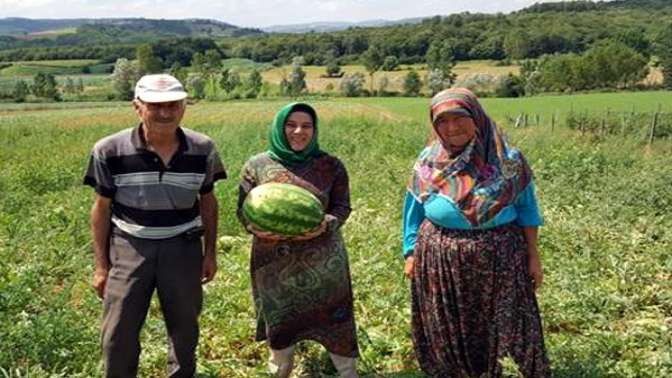 Kandıra Karpuzu,Diyarbakır Karpuzuna rakip olacak