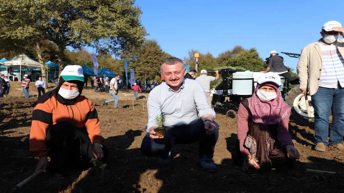 Kandıra’ya 2 milyon biberiye ekildi