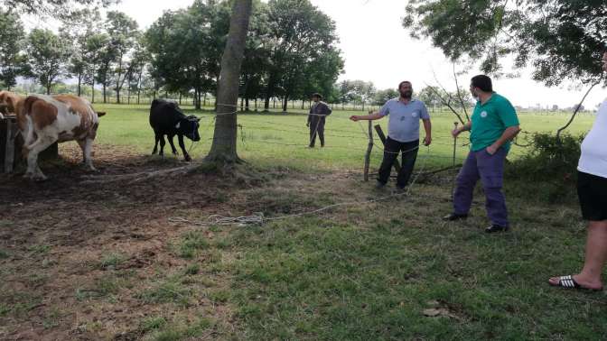 Kartepe’de kurban yakalama timi iş başında