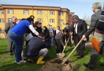 KAYMAKAM ÜNALDI’NIN ARTIK DİKİLİ AĞACI VAR