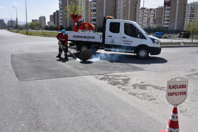 Kayseri Kocasinan'da haşereyle mücadele 