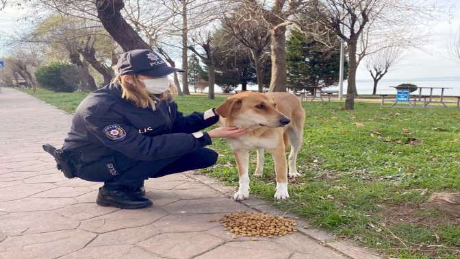 Kısıtlamada sokak hayvanlarını yalnız bırakmadılar