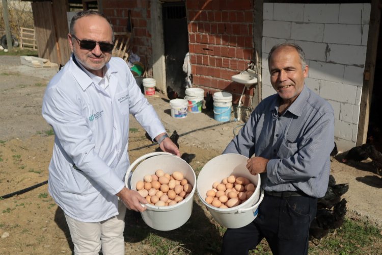 Kocaeli'de çiftçinin yüzü gülüyor