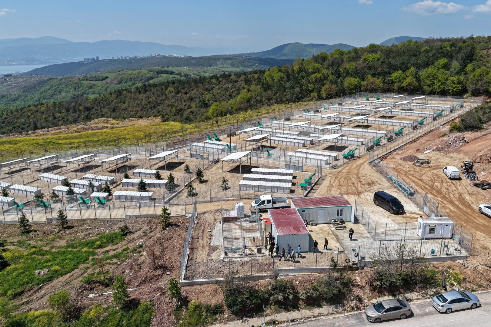 Kocaeli’nde sahipsiz köpeklere yeni yuva
