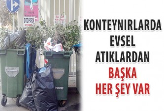 Konteynırlarda evsel atıklardan başka her şey var