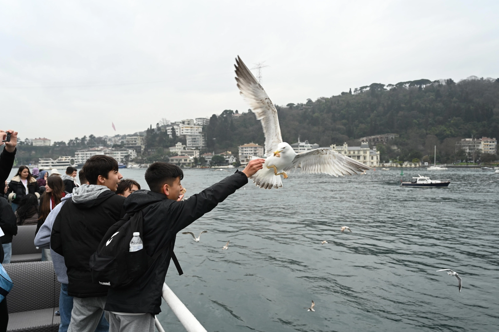 Konyalı genç seyyahlar bu yıl da İstanbul'la buluşacak