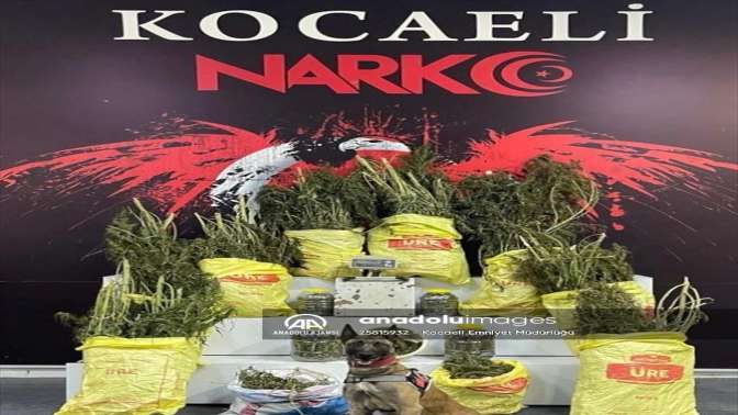 Körfezde 33 kilo 450 gram esrar ele geçirildi