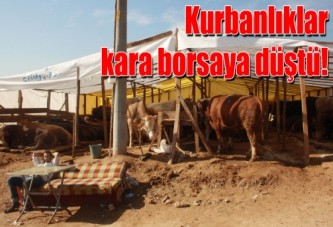 Kurbanlıklar kara borsaya düştü!