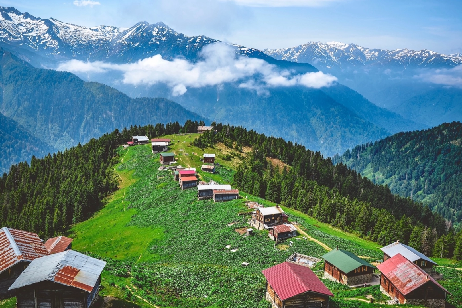 Likya ve Karadeniz turlarına talep bu yıl yüzde 40 arttı