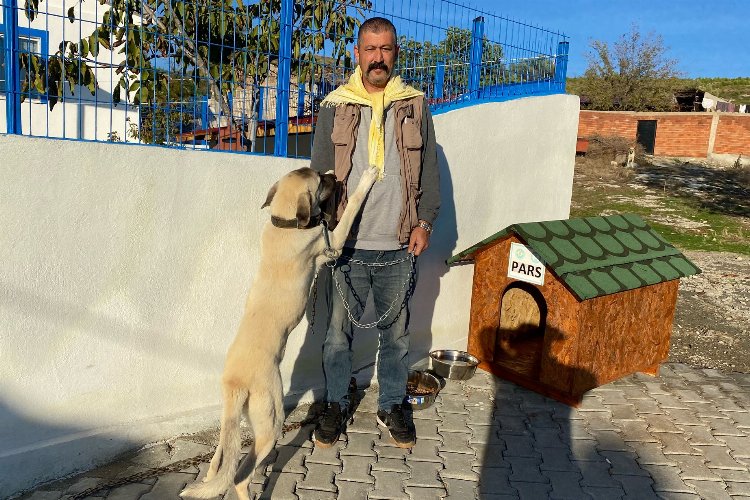 Manisa'da bir 'can dost' daha yuvasında