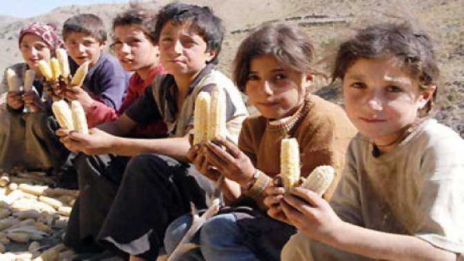 Memur-Sen: Açlık sınırı bin 677 TL