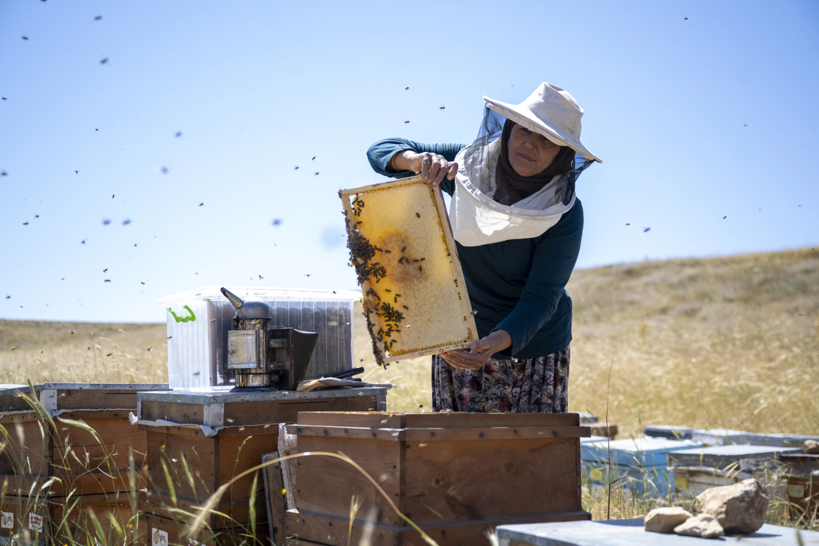 Mersin’de üreticilere Altın Kovan projesiyle destek