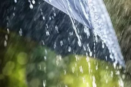 Meteoroloji’den kuvvetli yağış uyarısı! Birçok bölgede sağanak bekleniyor