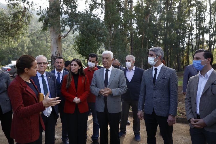 Muğla Marmaris'te bitki koleksiyon bahçesi kuruluyor 
