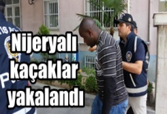 Nijeryalı kaçaklar yakalandı