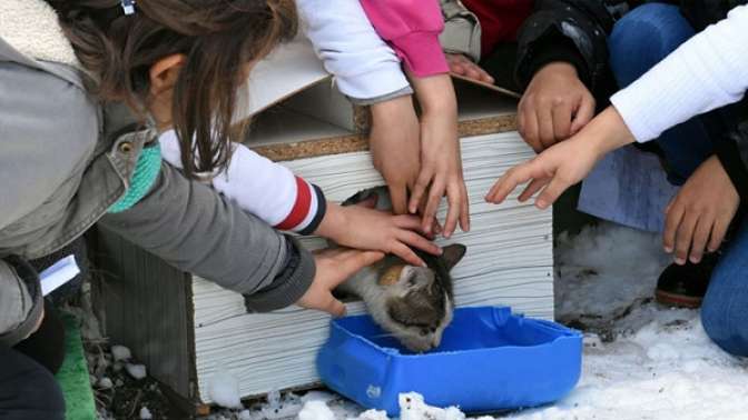 Öğrenciler hayvanlar için yuva hazırladı