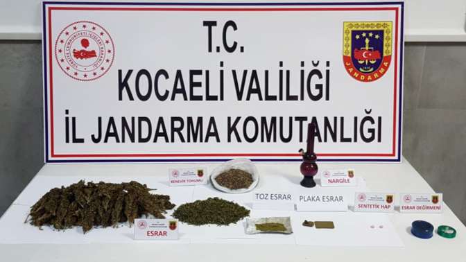 Ormana ektiği keneviri hasat ederken gözaltına alındı